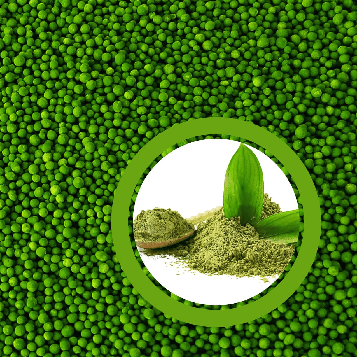 Encapsulated-Green-Tea-Encapsulated-Beads